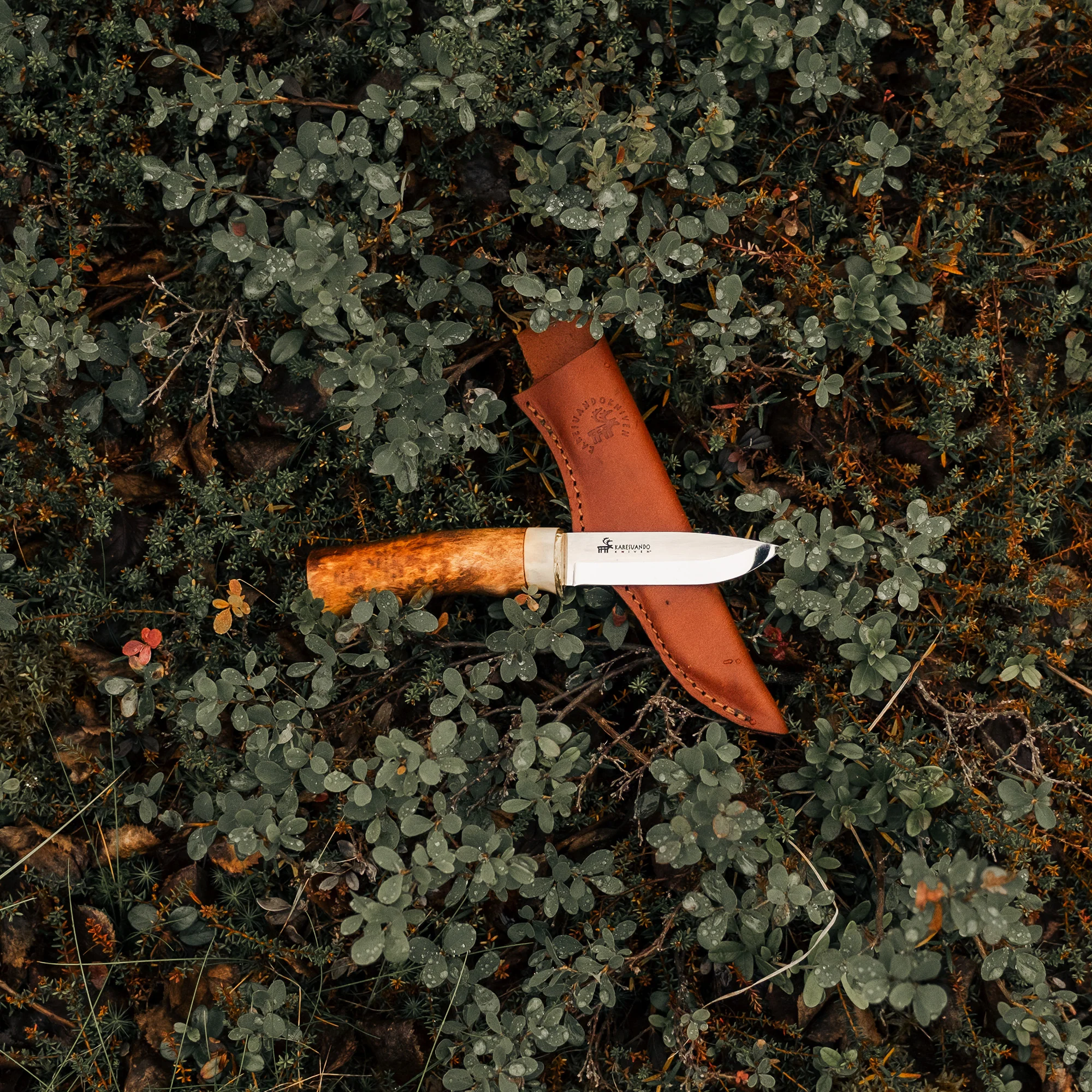 Titelseite -Camping-Ausrüstung Verkaufsgeschäft DesignaGalten