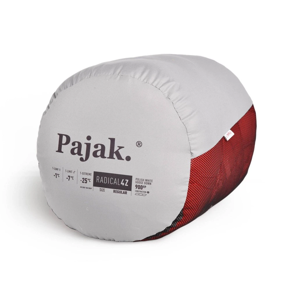 Pajak "Radical 4Z" 10 Pajak "Radical 4Z" – Bild 8