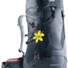 Deuter "Futura 28 SL" - Black 1 Deuter "Futura 28 SL" - Black -Camping-Ausrüstung Verkaufsgeschäft deuter futura28SL black schwarz 1